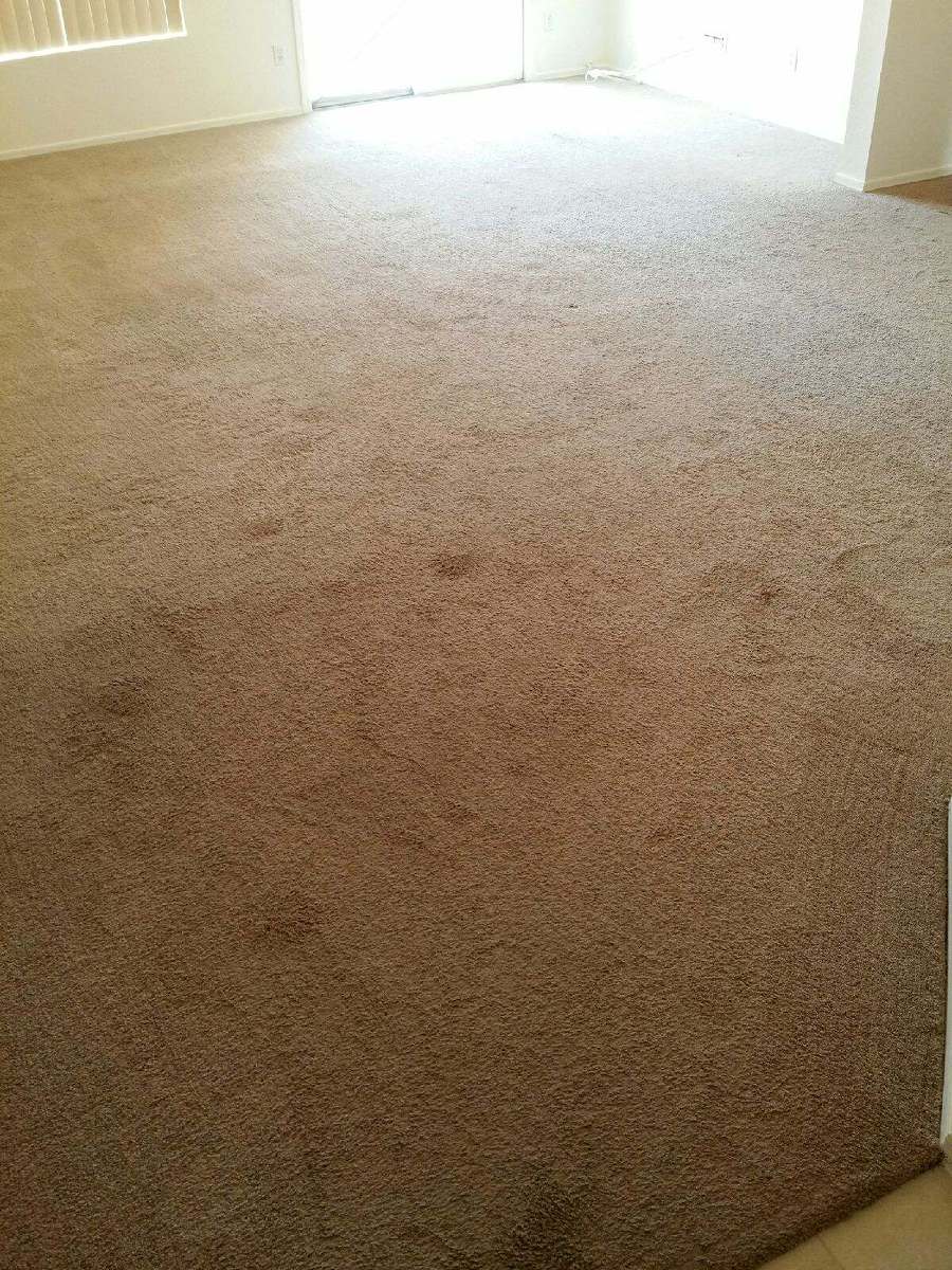 this is before cleaning service, carpet is dirty