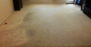 carpet before cleaning is very dirty